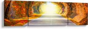 Obraz - Brama wykonana z koron drzew (170x50 cm)