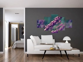 Obraz fioletowego kwiatu (125x70 cm)