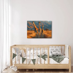 Obraz - Żyrafy na pastwisku (70x50 cm)