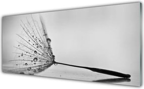 Szkło Ozdobne do Kuchni Taniec Nasion Dmuchawca na Wietrze