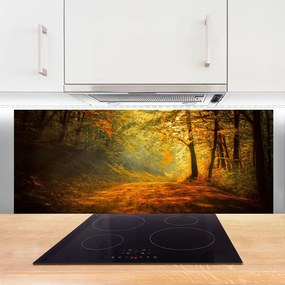 Panel Szklany Leśna Ścieżka W Słońcu