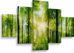 Obraz - Świt w lesie (125x70 cm)