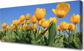 Fotoobraz na płótnie Barwna Kompozycja Tulipanów