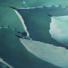 Obraz - Sukulent (125x70 cm)