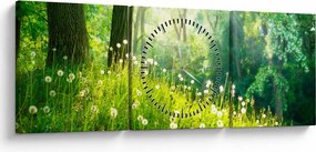 Obraz - Magiczna łąka pełna mniszków lekarskich (z zegarem) (90x30 cm)