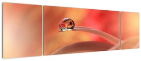 Obraz kwiecistej kropli rosy (170x50 cm)