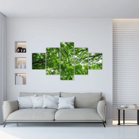 Obraz - Widok do korony drzewa (125x70 cm)