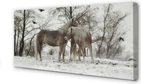 Obraz na płótnie Zimowy Las i Jednorożce