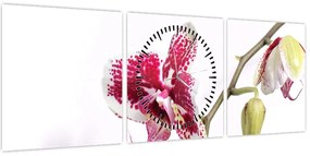Obraz kwiatu orchidei (z zegarem) (90x30 cm)
