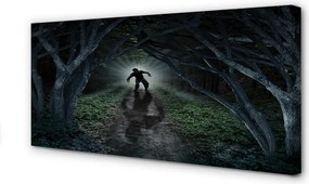 Zdjęcie na płótnie Ciemny Las i Postać
