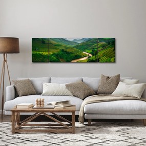 Obraz - Tarasy ryżowe II. (170x50 cm)