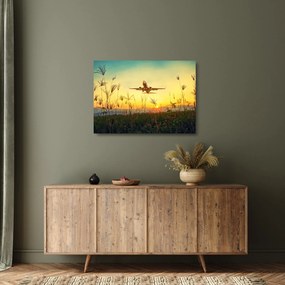 Obraz na szkle - startujący samolot (70x50 cm)