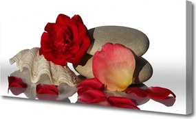 Obraz canvas Aksamitne Płatki Róż