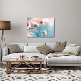 Obraz - Biedronka na kwiatku (70x50 cm)