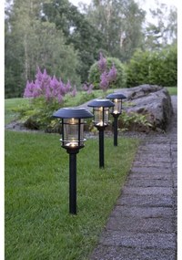 Zestaw 3 ogrodowych lamp solarnych LED Star Trading Fride, wys. 34 cm
