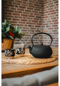 Czarny porcelanowo-żeliwny serwis do herbaty Sichuan – Bredemeijer