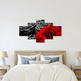 Obraz - Kwiaty róży (125x70 cm)