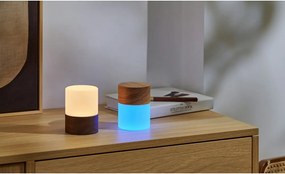 Naturalna lampa stołowa ze ściemniaczem i szklanym kloszem (wys. 10,5 cm) Lemelia – Gingko