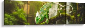 Obraz jaszczurki (170x50 cm)
