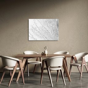 Obraz na szkle - Trawa pampasowa N⁰2 (70x50 cm)