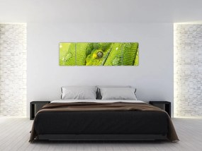 Obraz węża (170x50 cm)