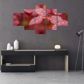 Obraz - Obraz biletu w trybie makro (125x70 cm)