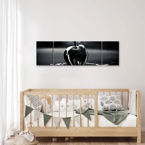 Obraz czarnego jabłka (170x50 cm)