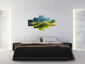 Obraz - Koncert w Tarasach Ryżowych (125x70 cm)