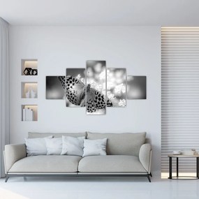 Obraz - Szczegół motyla zapylającego kwiat (125x70 cm)