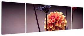 Obraz - Kwiat (170x50 cm)