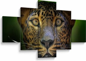 Obraz - Portret lamparta, Sri Lanka (125x70 cm)