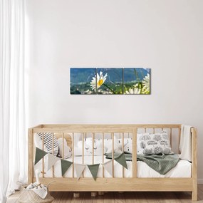 Obraz - Wiosna w Alpach (z zegarem) (90x30 cm)