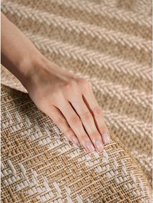 Kremowy/w naturalnym kolorze dywan odpowiedni na zewnątrz 160x230 cm Haringey Woodfield – Ted Baker