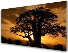 Dekor Szklany do Kuchni Stary Dąb W Polu