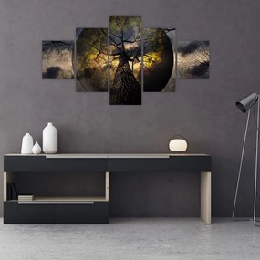Obraz - Tajemnicze niebo (125x70 cm)