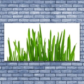 Obraz na płótnie Soczysta Trawa - Detal