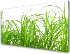 Panel Szklany Soczysta Zielona Trawa