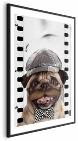 Plakat Mops w czapce 21x30 cm z ramą czarną z marginesem ARTGEIST B