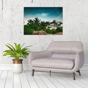 Obraz na szkle - palmy (70x50 cm)