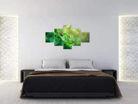 Obraz - Biedronka (125x70 cm)