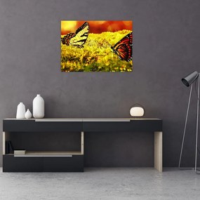 Obraz na szkle - motyle (70x50 cm)