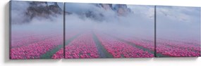 Obraz - Krajobraz z polami tulipanów (170x50 cm)