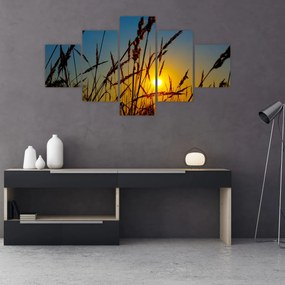 Obraz - Zachód słońca na łące (125x70 cm)
