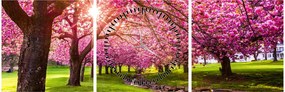 Obraz kwitnących czereśni, Hurd Park, Dover, New Jersey (z zegarem) (90x30 cm)