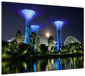 Obraz przedstawiający pełnię księżyca w ogrodach Singapuru (70x50 cm)