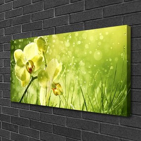 Obraz canvas Świeżość Zielonych Źdźbeł