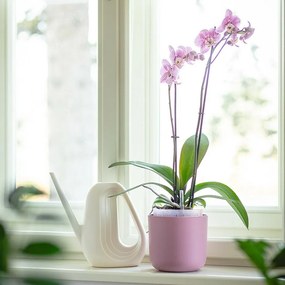 Plastia Doniczka samonawadniająca Tolita Air różowy, śr. 16 cm, śred. 16 cm