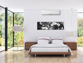 Obraz - Pajęczyna na łące (170x50 cm)
