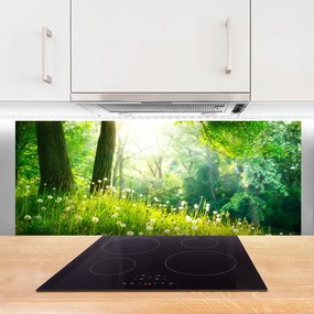 Dekor Szklany do Kuchni Sielska Zielona Łąka