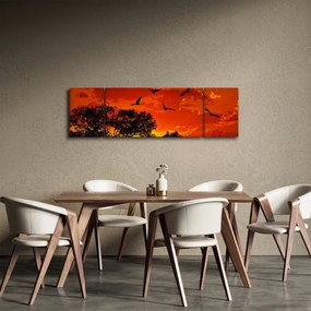 Obraz ptaków o zachodzie słońca (170x50 cm)